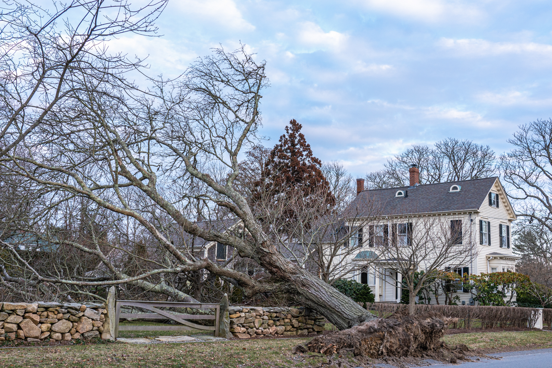 Notícias, Comunidades