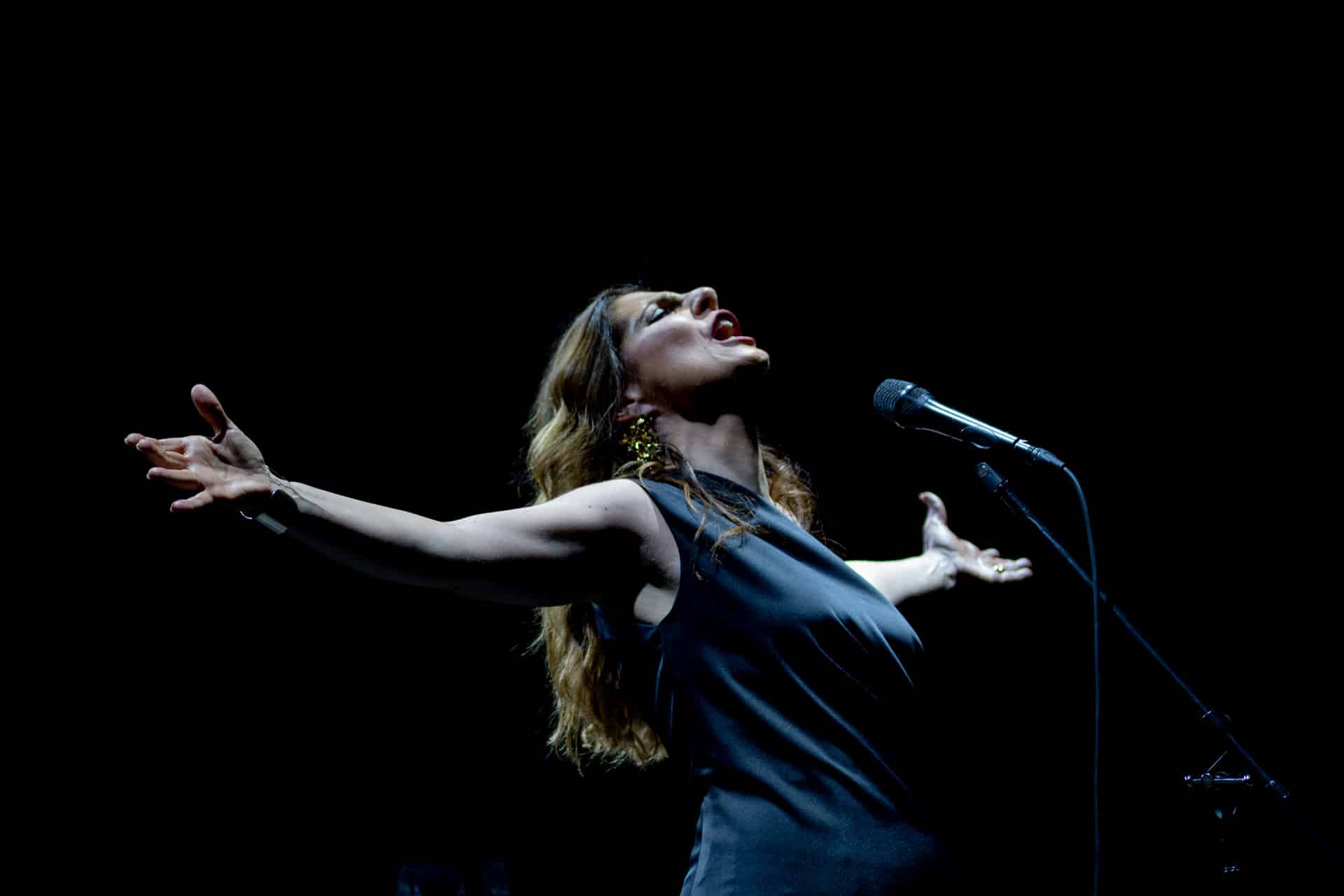 Uma Noite de Fado com Katia Guerreiro em Lowell em beneficio do Centro Saab de Estudos Portugueses da Universidade de Lowell
