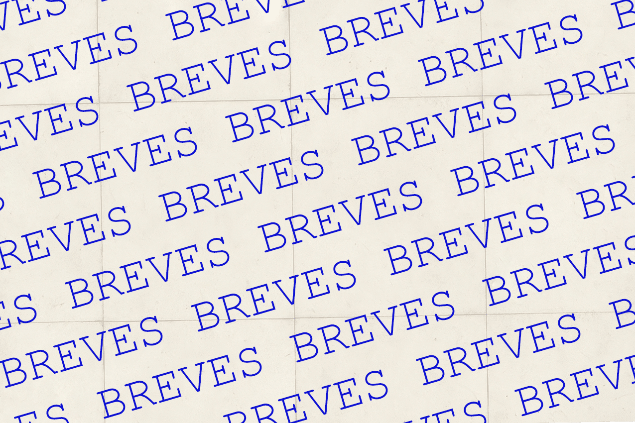 Breves, Cultura
