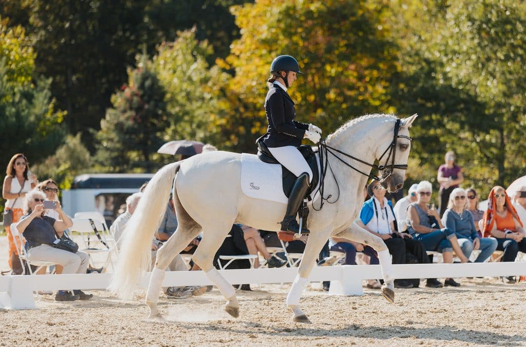 Harmomy in Motion – Tarde de celebração da cultura portuguesa na “Sons of the Wind” em Merrimac