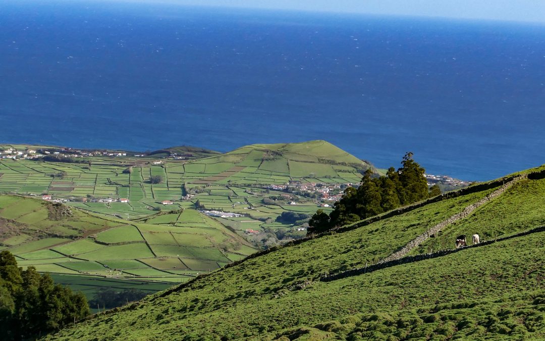 Notícias, Portugal