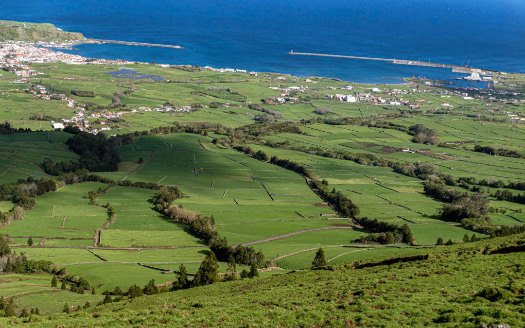 Notícias, Portugal