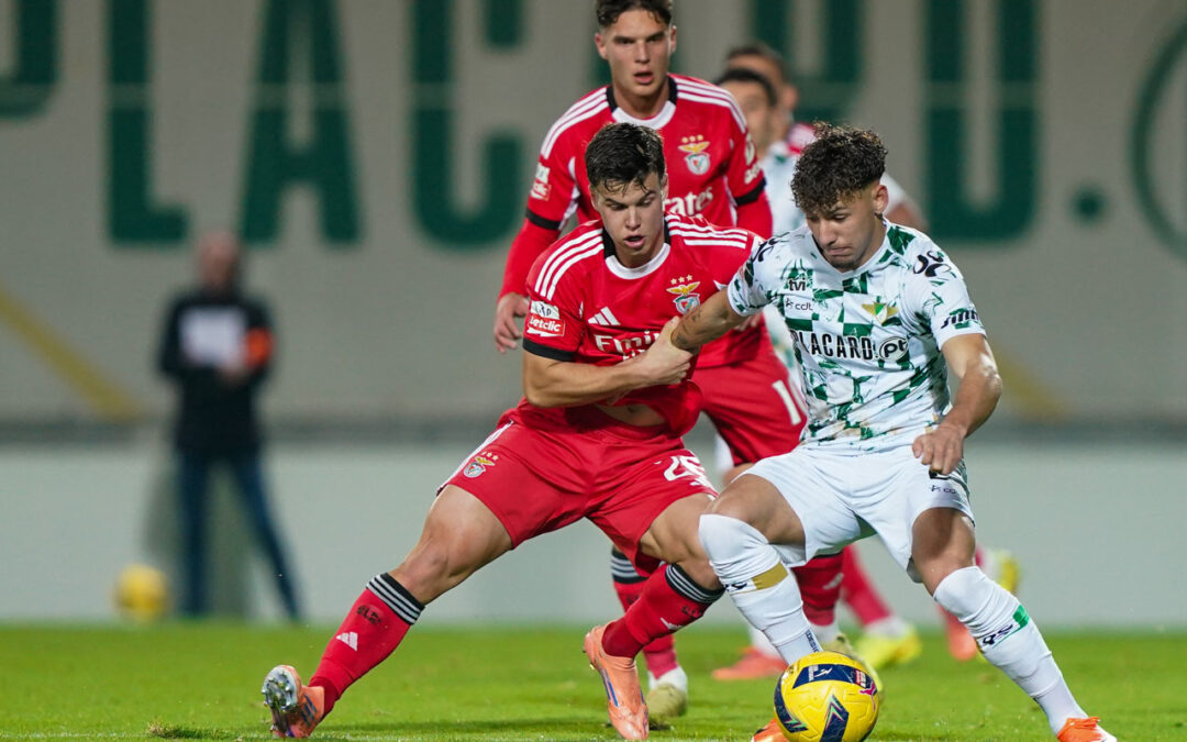 Pavlidis conduz goleada do Benfica ao Moreirense, Famalicão em quinto