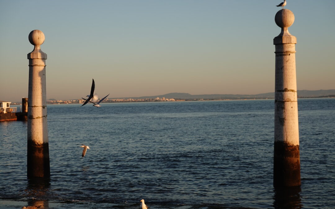 2025: Obituário do ano