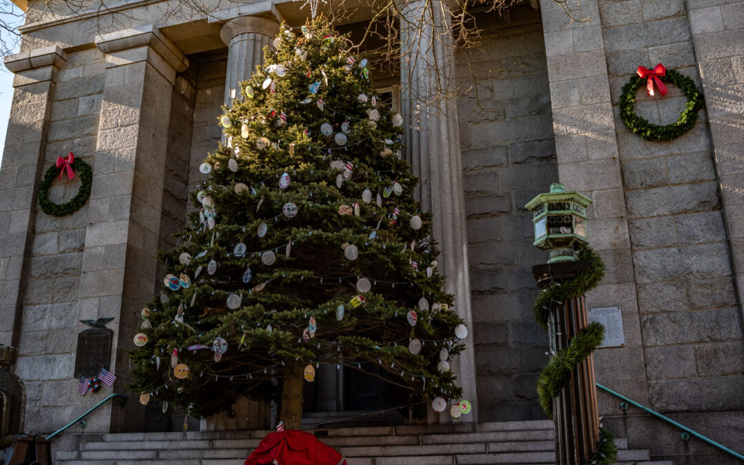 Algumas decorações natalícias