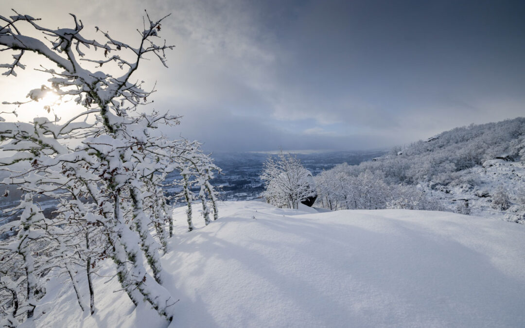 Títulos dos jornais de hoje, 24 jan 2026