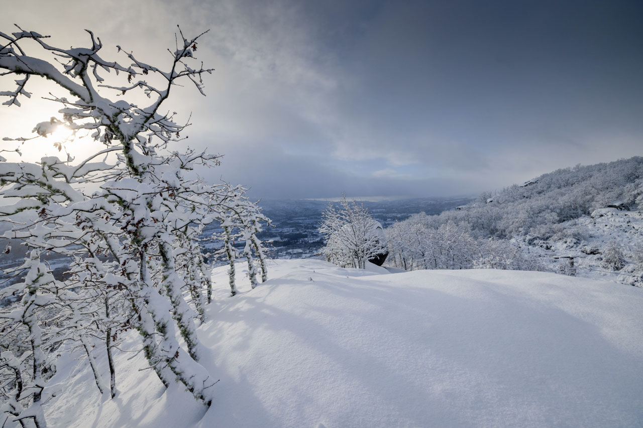 Títulos dos jornais de hoje, 24 jan 2026