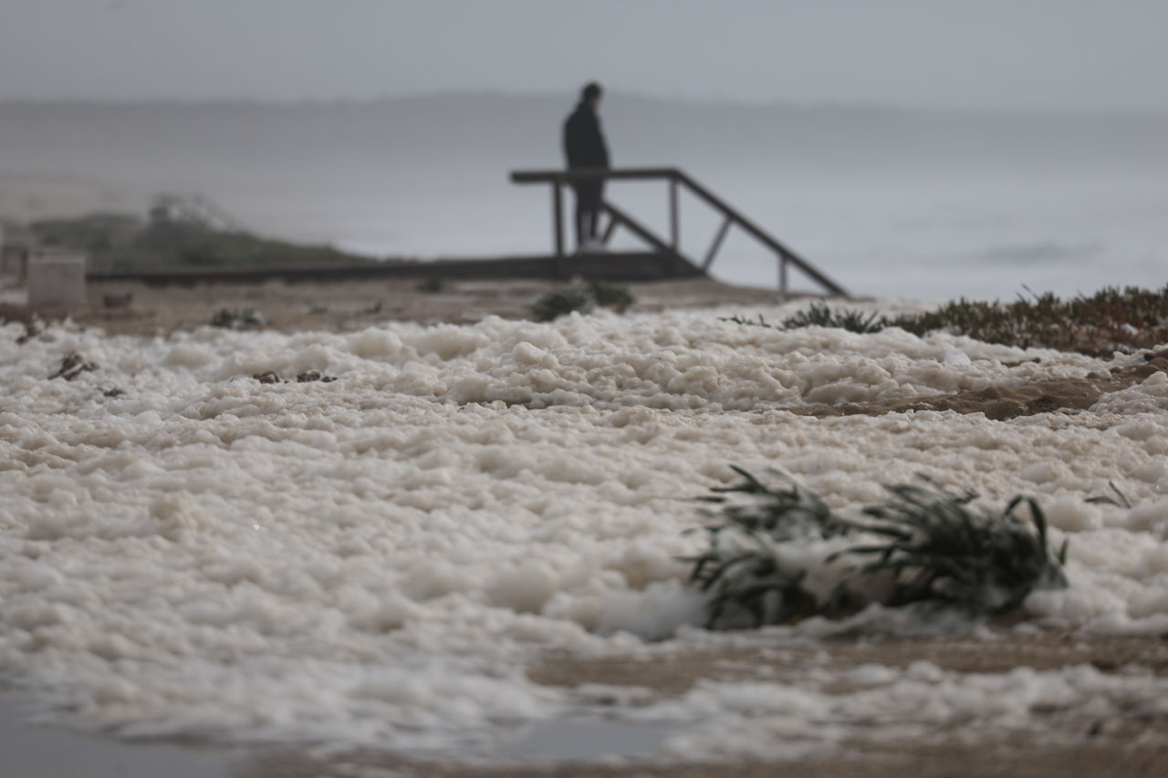 DOC.20260130.46458648.CA_CALM2812