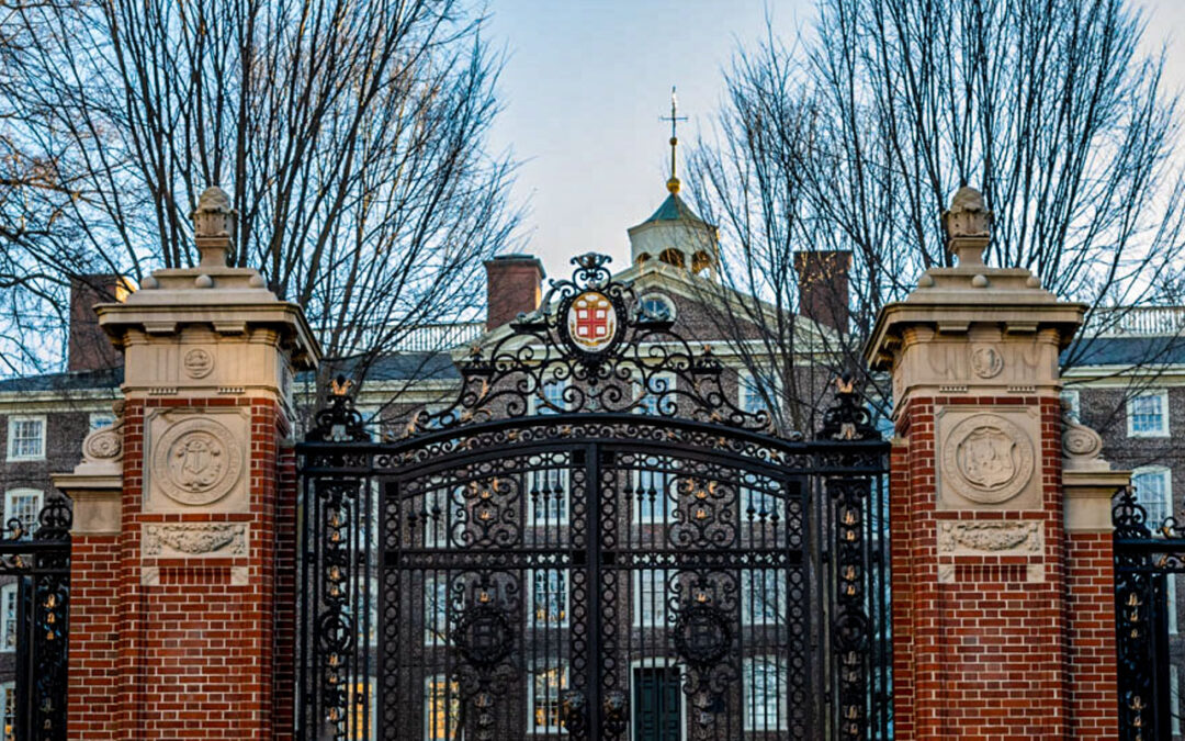 Notícias, Comunidades Ⅱ