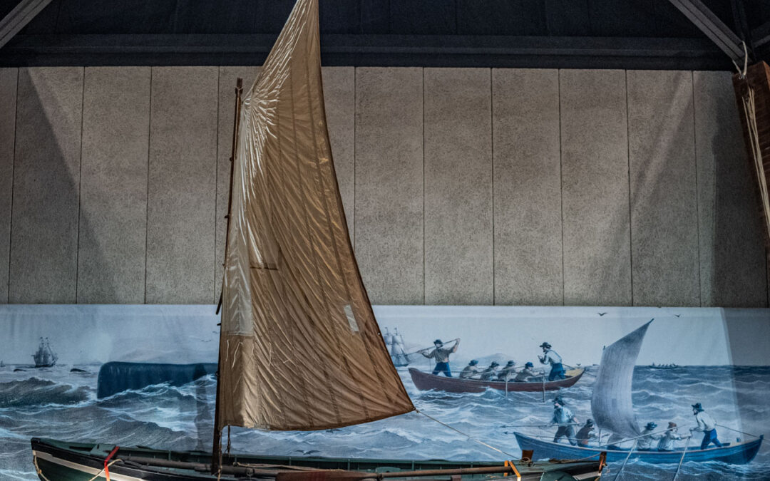 Mini Maratona de Leitura em Português de Moby Dick