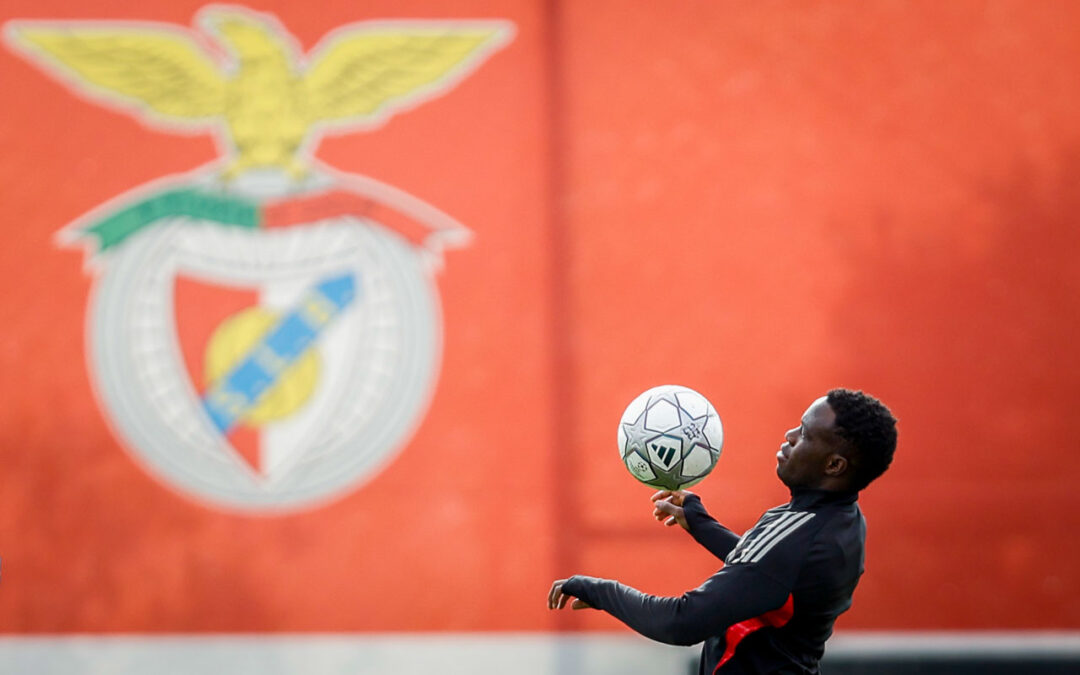 Marca Benfica sem “danos significativos” após “episódio mau” – diretor do IPAM