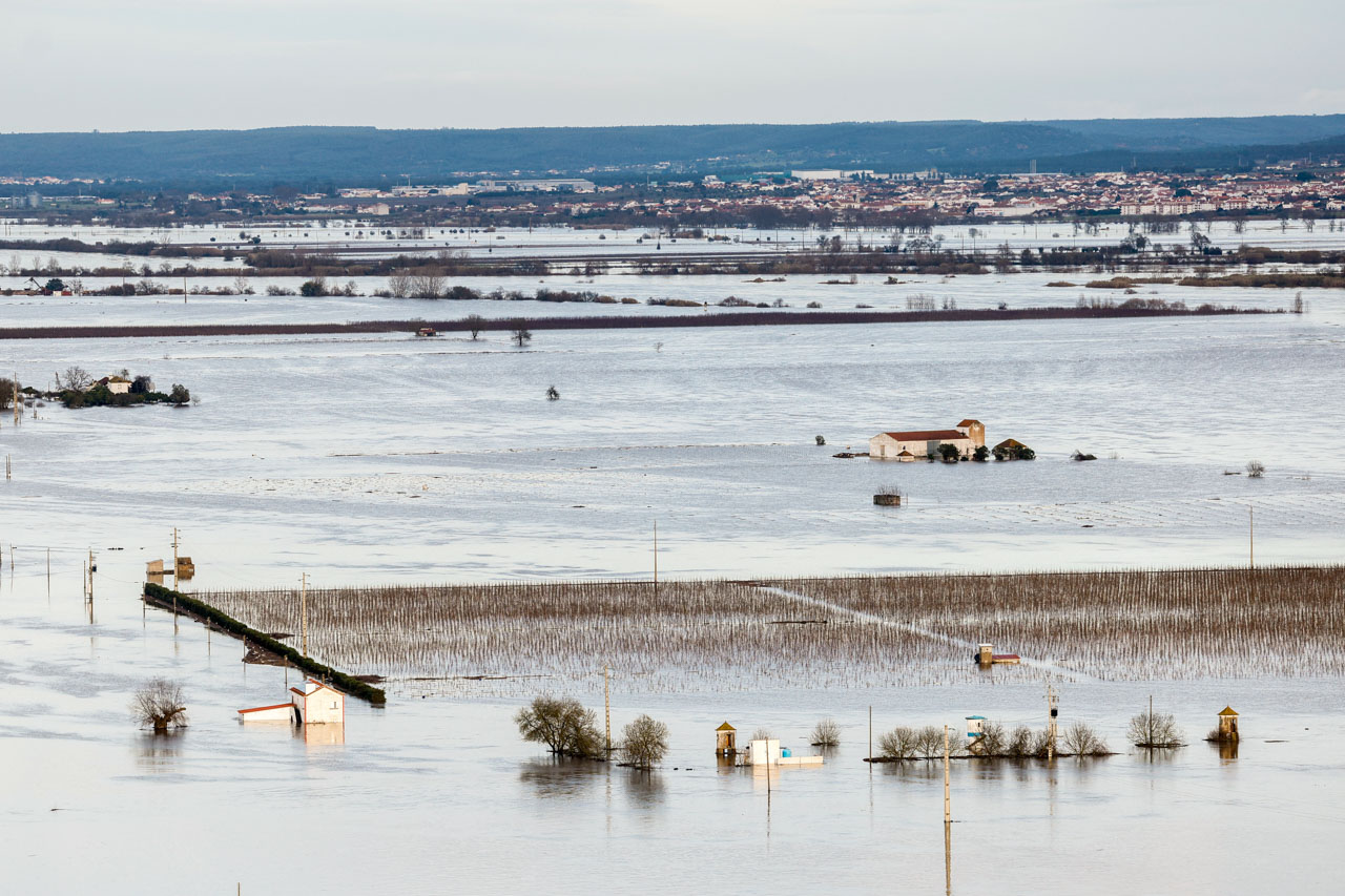 Títulos dos jornais de hoje, 07 fev 2026
