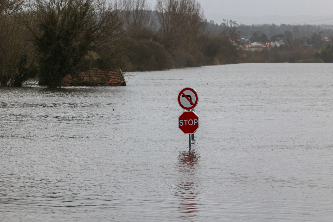 Especialista diz que foi descurada a conservação do dique do Mondego