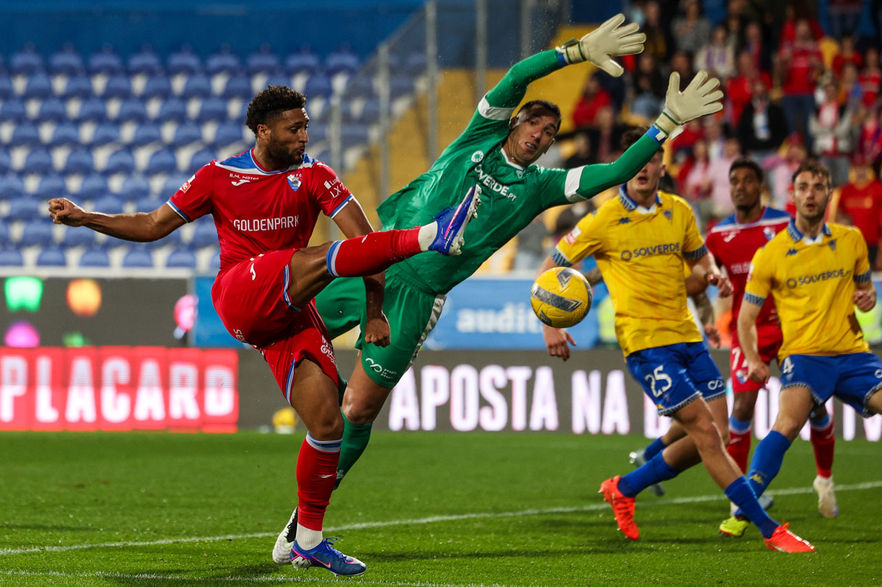 DOC.20260222.46621586.PET_8279