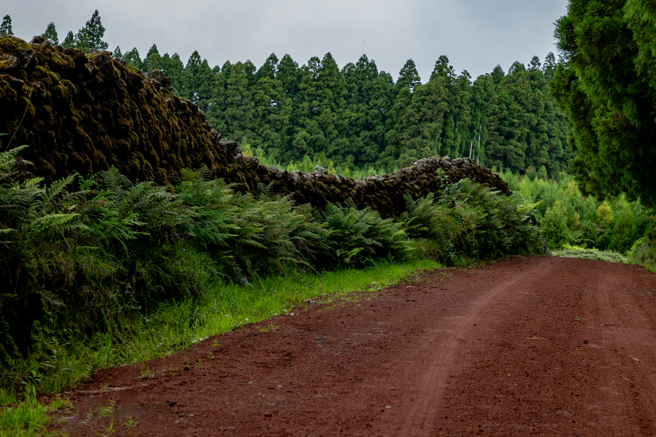 Quatro em cada 10 cancros devem-se a fatores de risco e podem ser evitáveis – OMS