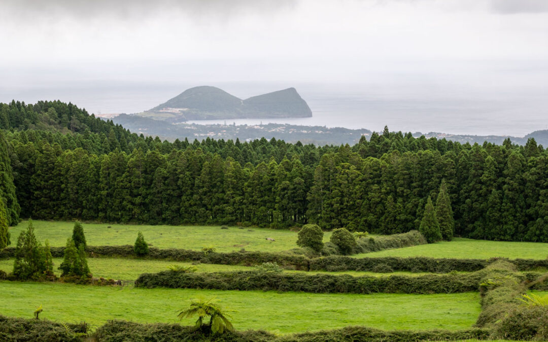 Património natural dos Açores “diferencia” a região no exterior – Governo
