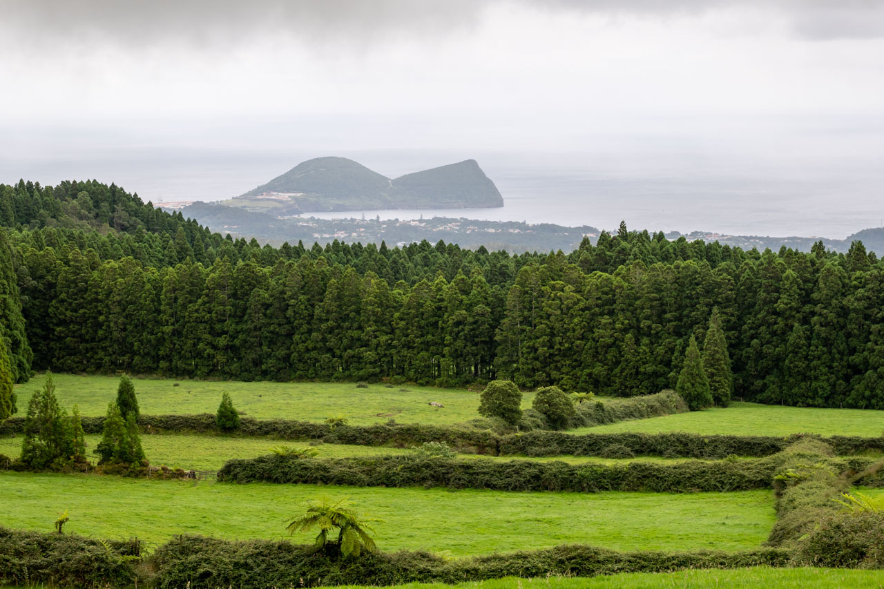 Património natural dos Açores “diferencia” a região no exterior – Governo