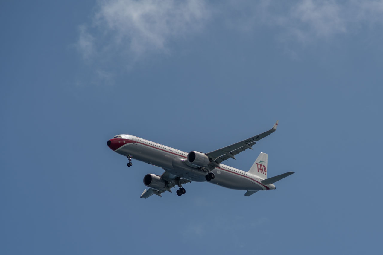 TAP vai fazer rota Faro-Funchal durante todo o ano