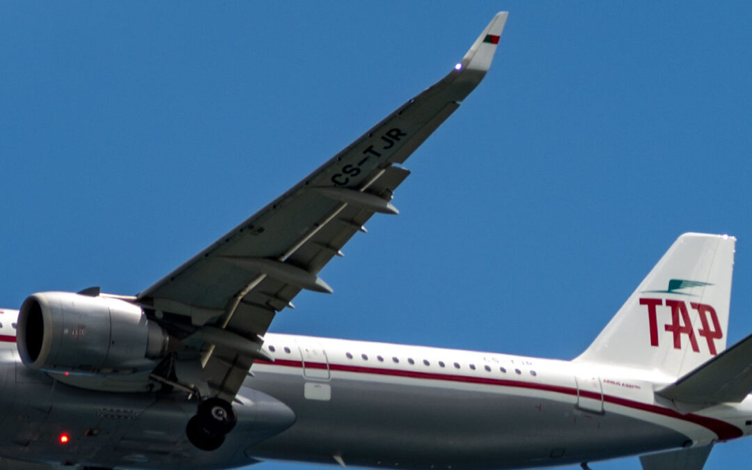 TAP: Dona da Iberia fora da corrida à privatização