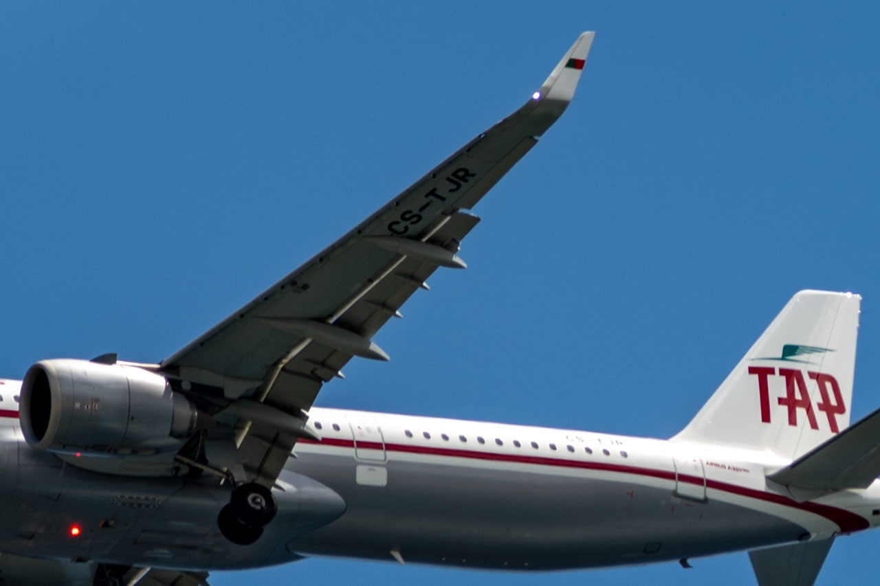 TAP: Dona da Iberia fora da corrida à privatização