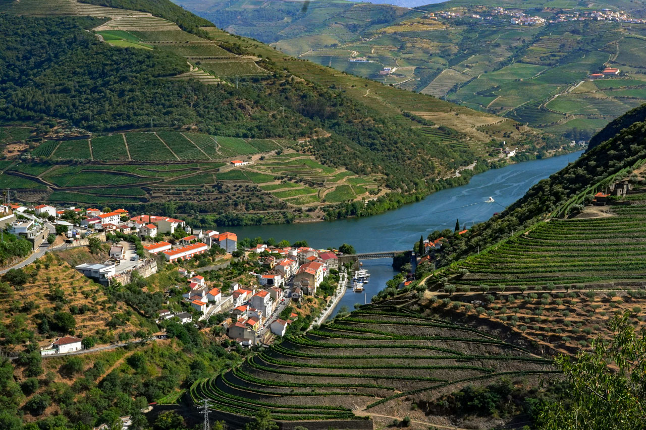 Associação de viticultores reclama apoios imediatos para o Douro