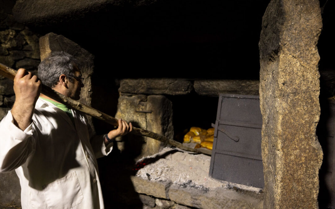 PÁSCOA: Forno do povo coze o tradicional folar da Páscoa em aldeia de Montalegre
