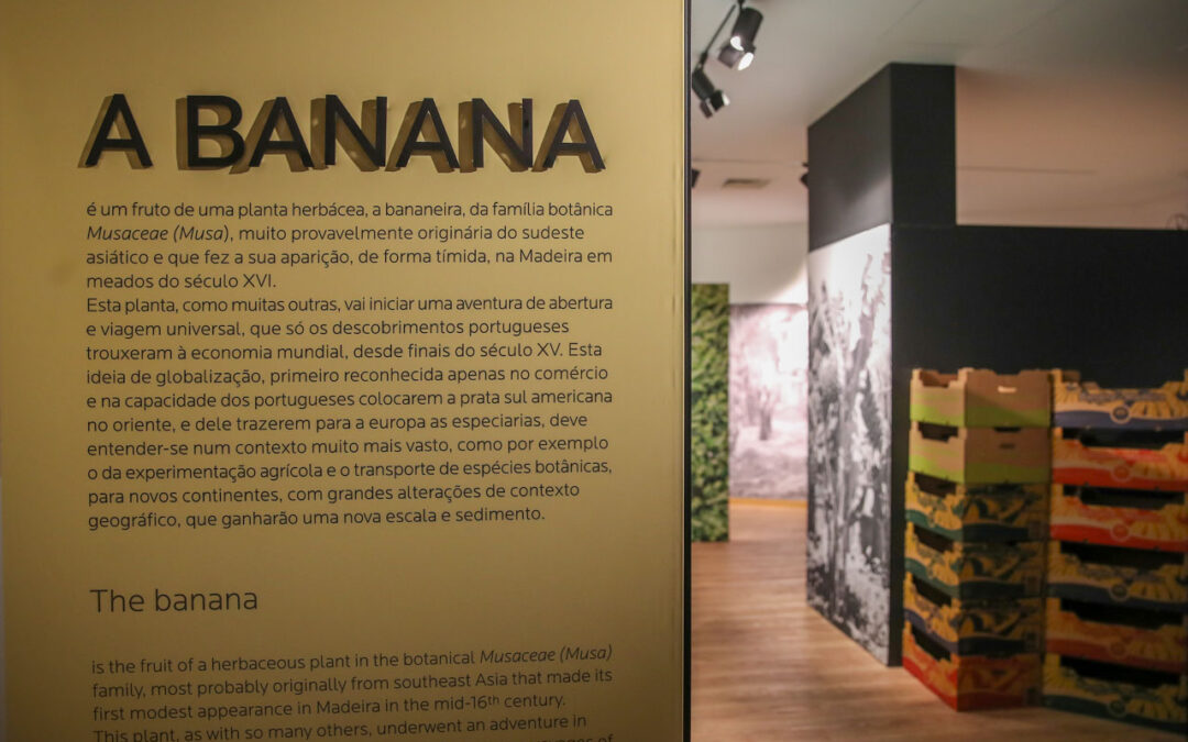 A fruta que se tornou uma imagem de marca da Madeira e tem agora um museu