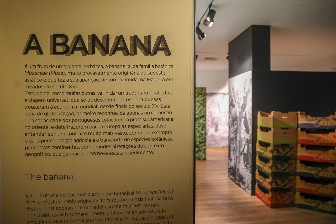 A fruta que se tornou uma imagem de marca da Madeira e tem agora um museu
