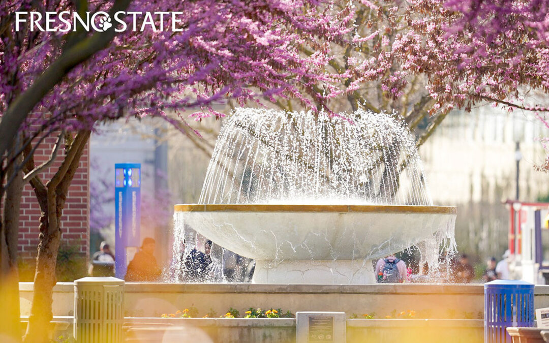 Festival de Poesia Bruma na Califórnia