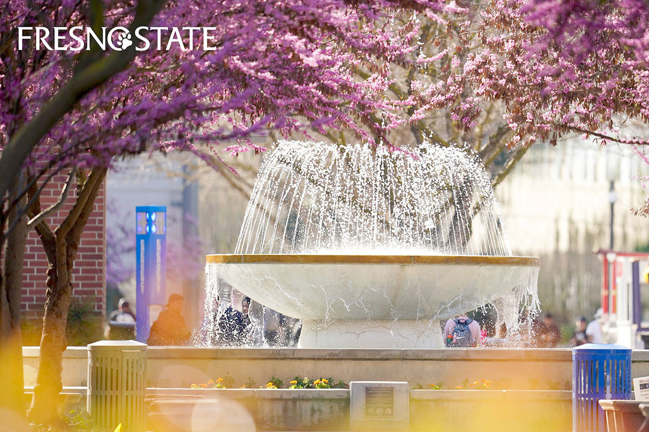 Festival de Poesia Bruma na Califórnia