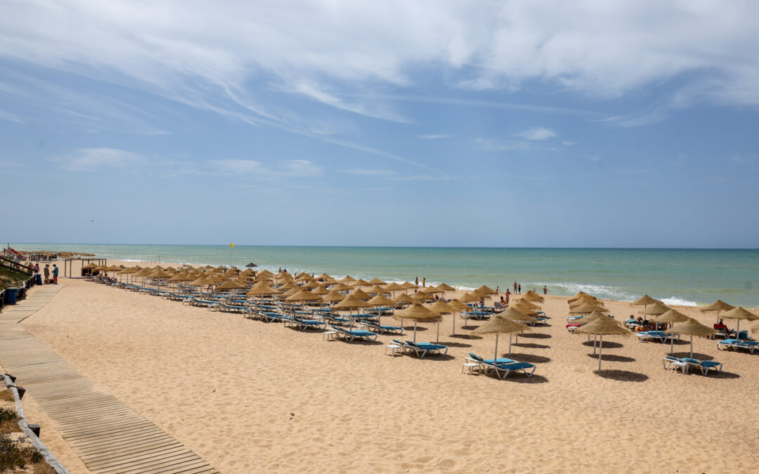 Praia do Garrão no Algarve (foto)