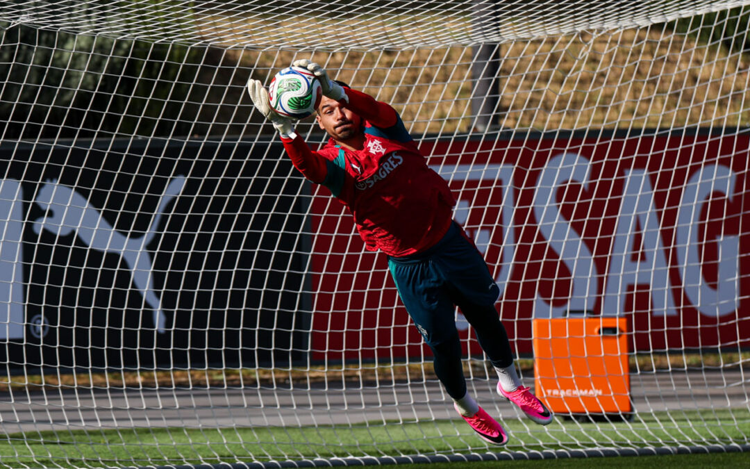 A seleção nacional de Portugal prepara-se para o Mundial (foto)