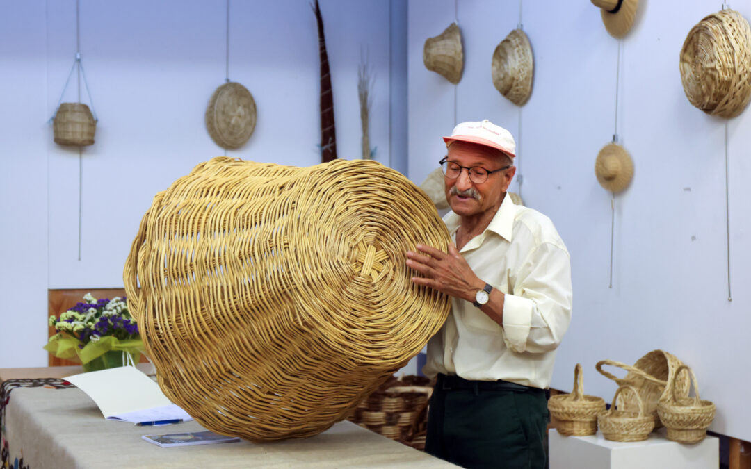 Cesteiro da Terra de Miranda conserva arte de fazer cestos de vime há 50 anos