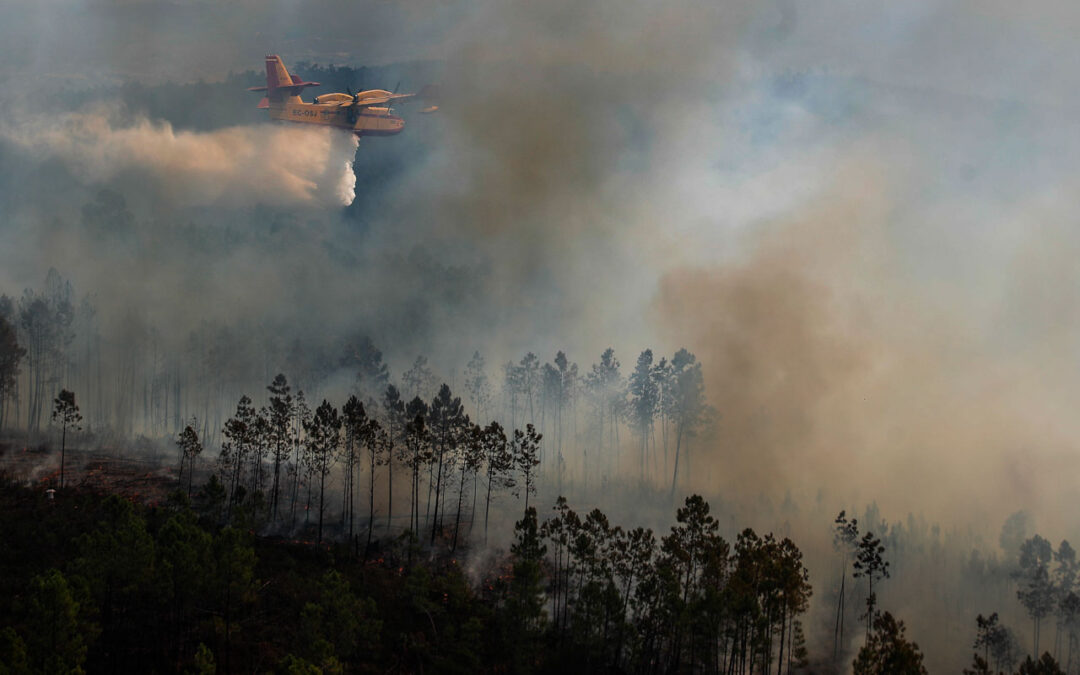 Estado da União: UE quer criar frota de combate a incêndios
