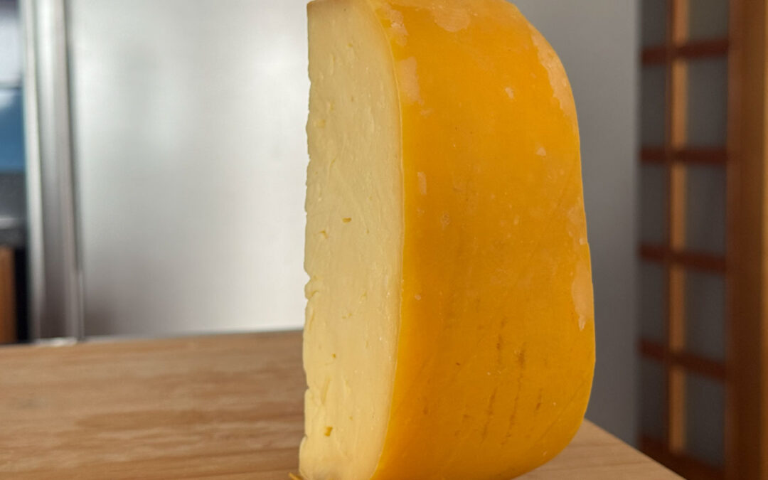 Adjudicado estudo para candidatura do queijo de São Jorge à UNESCO – Governo Açores