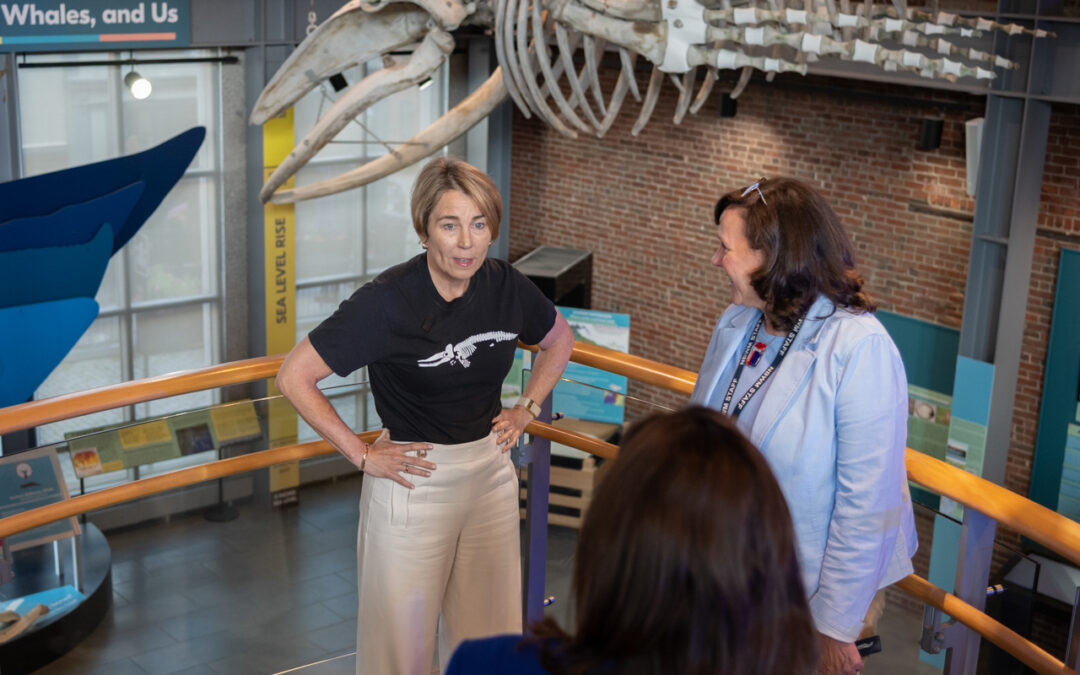 Maura Healey, governadora de MA na sua visita a New Bedford: “Queremos reduzir  os custos de habitação para as famílias”