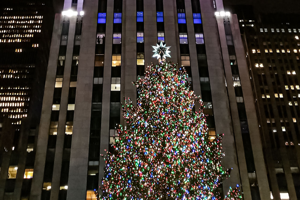 Cidade de Providence Procura Duas Árvores de Natal para as Festas da Cidade