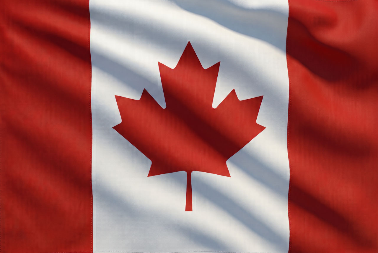 Pelo menos oito luso-canadianos disputam eleições municipais no Ontário