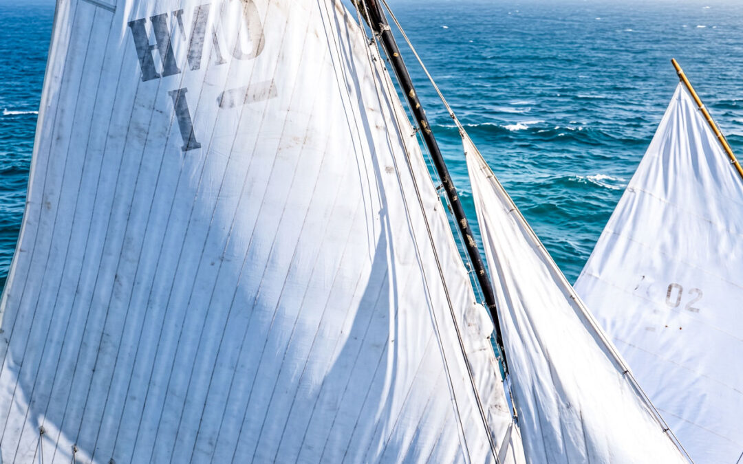 Mariana Lobato (a co-‘skipper’ da embarcação francesa United by the Ocean que ganhou a Ocean Race Atlantic) diz que é incrível Portugal receber Ocean Race