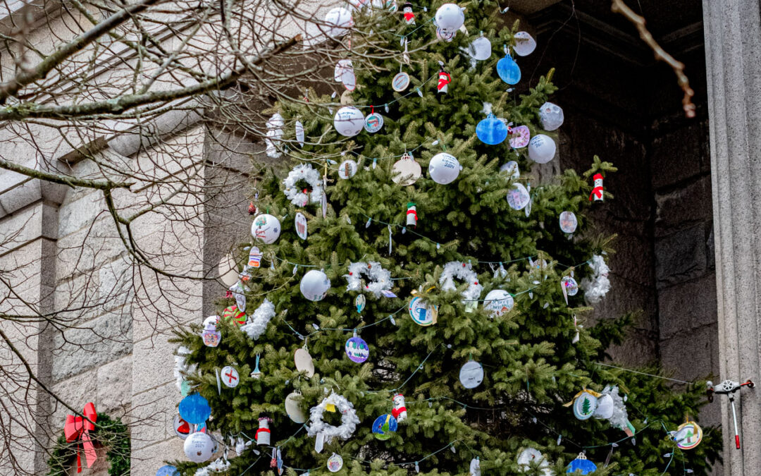 Fall River Procura Doação de Árvore de Natal de Grande Porte para a Praça Principal