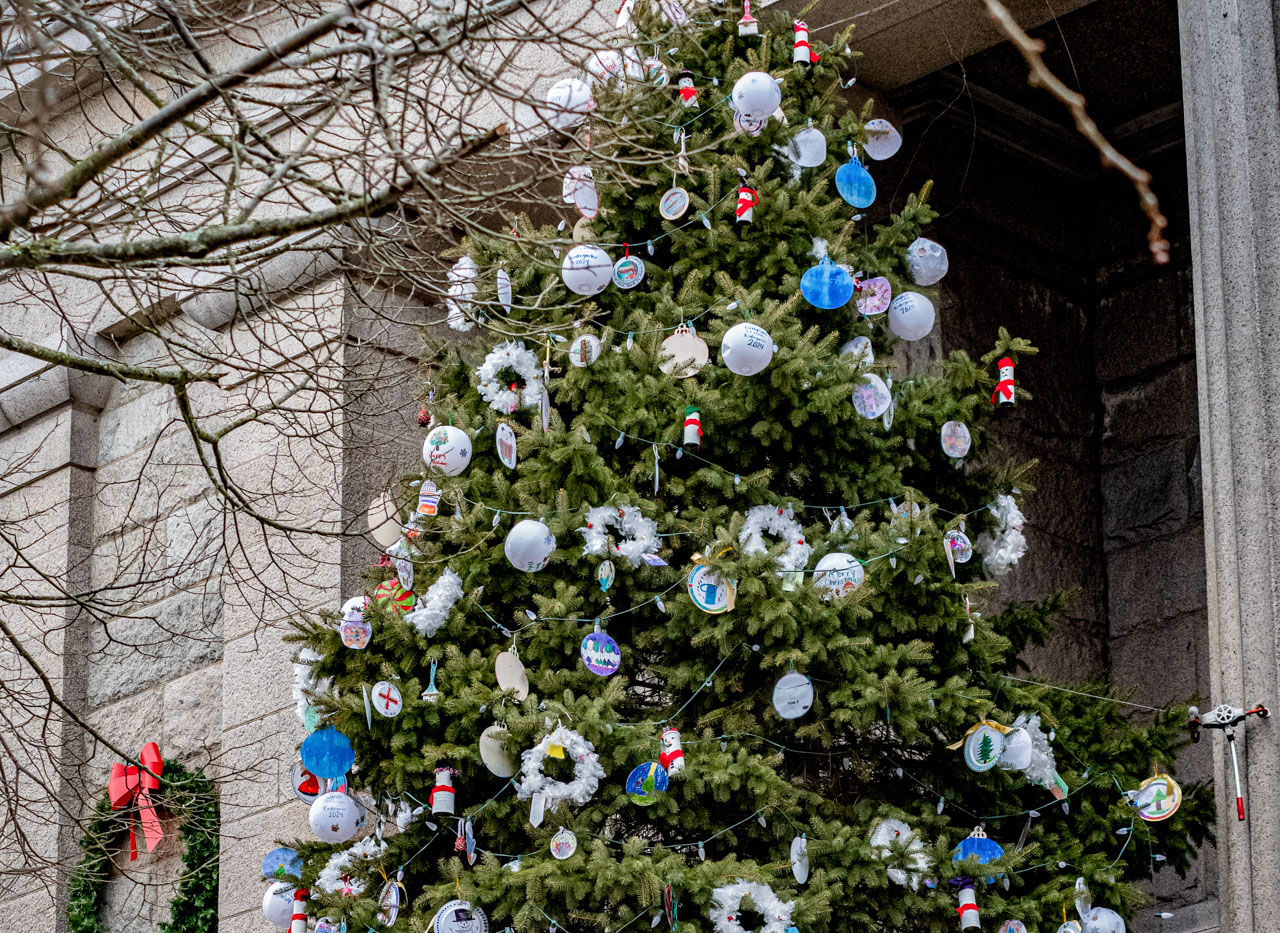 Fall River Procura Doação de Árvore de Natal de Grande Porte para a Praça Principal