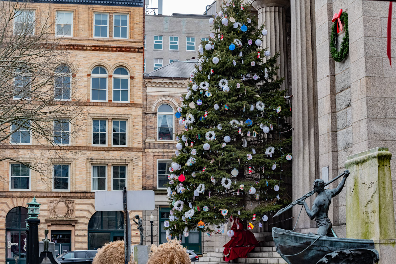 New Bedford procura árvore de Natal para a biblioteca do centro